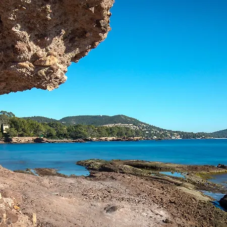 2 Pieces Avec Terrasse - A 50m - Climatise - Proche Gare Et Commerces - Fr-1-466a-4 公寓