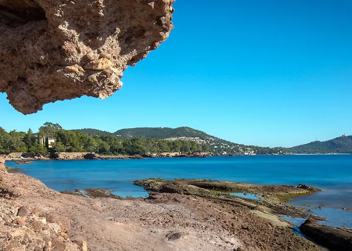 2 Pieces Avec Terrasse - A 50m - Climatise - Proche Gare Et Commerces - Fr-1-466a-4 公寓